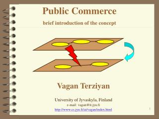 Public Commerce brief introduction of the concept