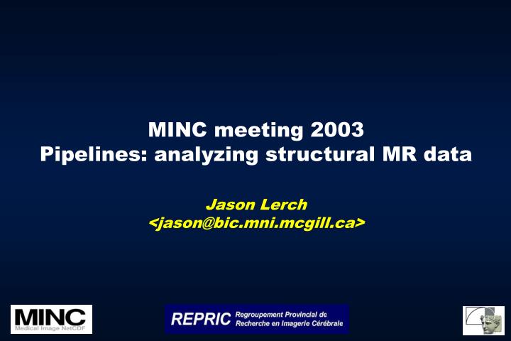 minc meeting 2003 pipelines analyzing structural mr data