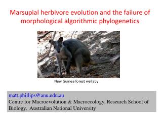 Marsupial herbivore evolution and the failure of morphological algorithmic phylogenetics