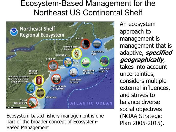 ecosystem based management for the northeast us continental shelf