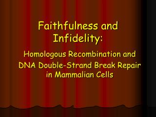 Faithfulness and Infidelity:
