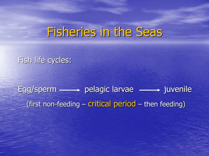 fisheries in the seas
