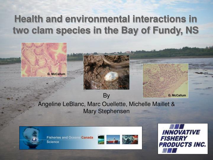 health and environmental interactions in two clam species in the bay of fundy ns