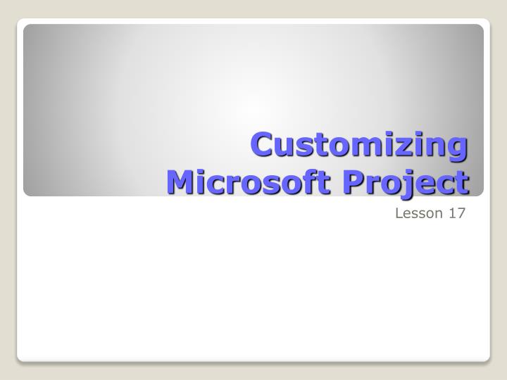customizing microsoft project