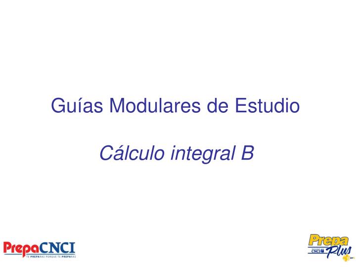 gu as modulares de estudio c lculo integral b