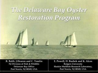 The Delaware Bay Oyster Restoration Program