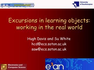 Excursions in learning objects: working in the real world