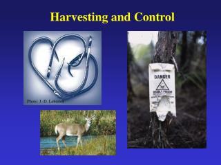 Harvesting and Control