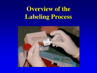 Overview of the Labeling Process