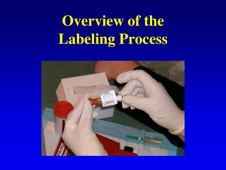 overview of the labeling process