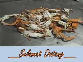selamat datang