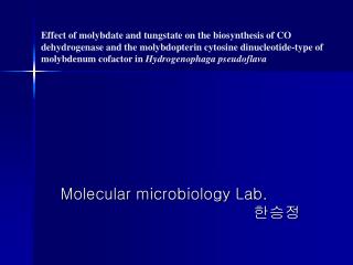 Molecular microbiology Lab. ???