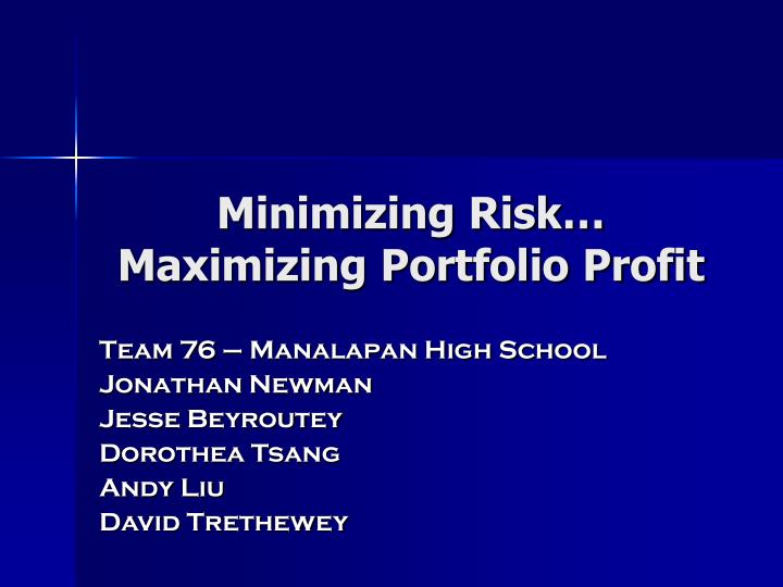 minimizing risk maximizing portfolio profit
