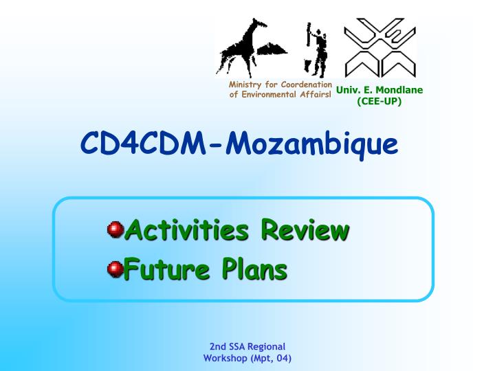 activities review future plans