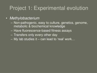 Project 1: Experimental evolution