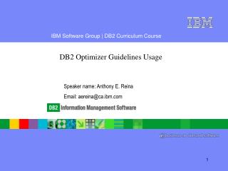 DB2 Optimizer Guidelines Usage