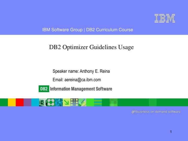 db2 optimizer guidelines usage