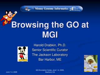 Browsing the GO at MGI