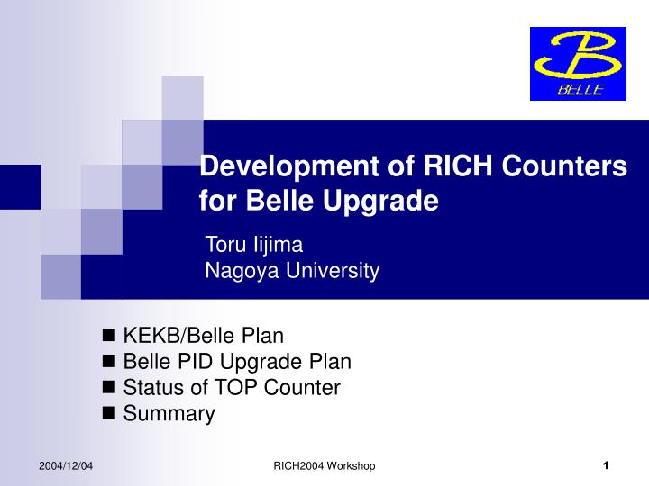 development of rich counters for belle upgrade