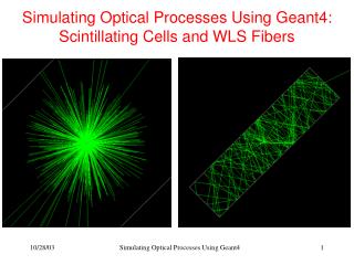 simulating optical processes using geant4 scintillating cells and wls fibers