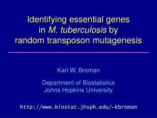 identifying essential genes in m tuberculosis by random transposon mutagenesis