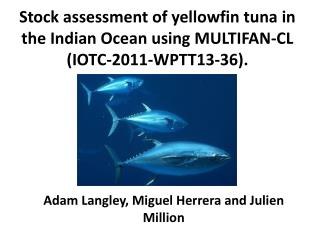 Stock assessment of yellowfin tuna in the Indian Ocean using MULTIFAN-CL (IOTC-2011-WPTT13-36).