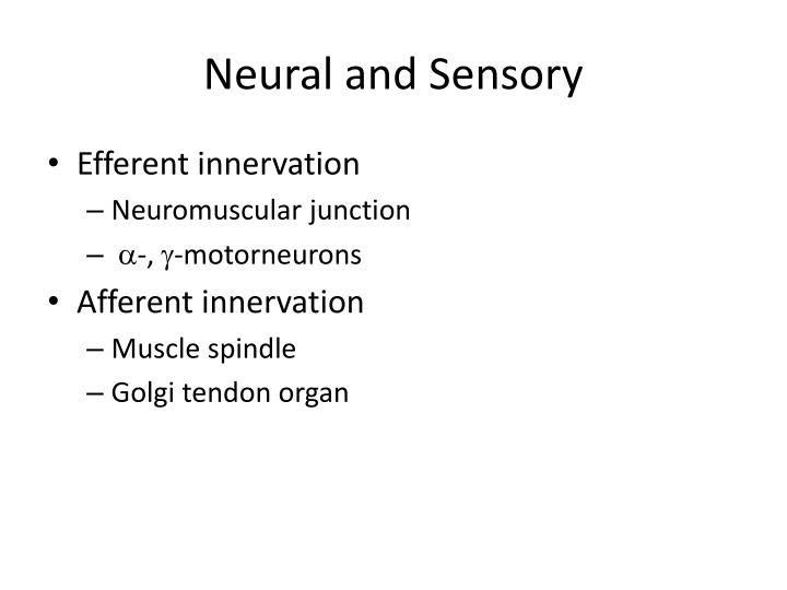 neural and sensory