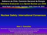 Nuclear Safety: International Consensus - slide 1