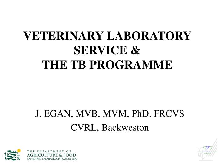 veterinary laboratory service the tb programme