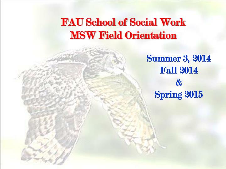 fau school of social work msw field orientation