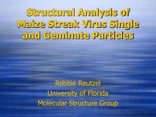 Structural Analysis of Maize Streak Virus Single and Geminate Particles