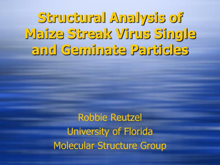 structural analysis of maize streak virus single and geminate particles