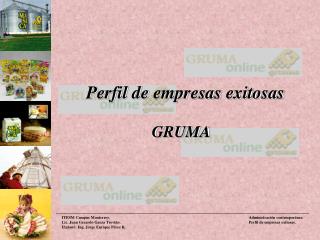 perfil de empresas exitosas