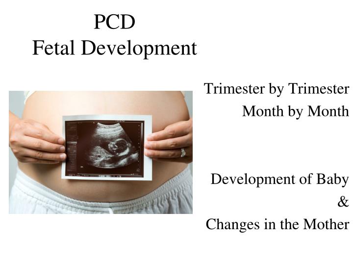 pcd fetal development