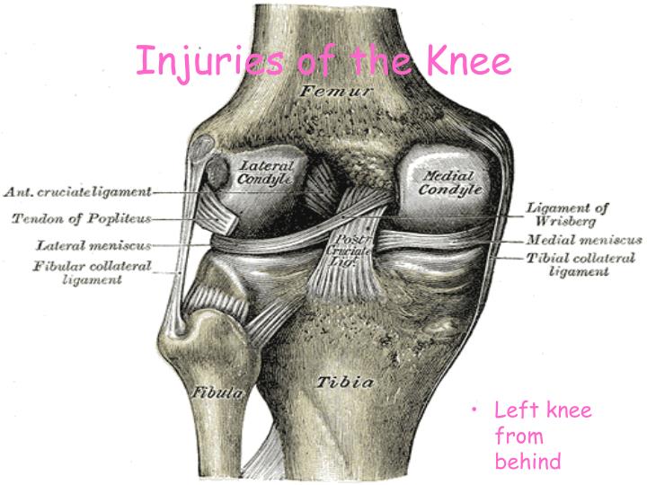 injuries of the knee