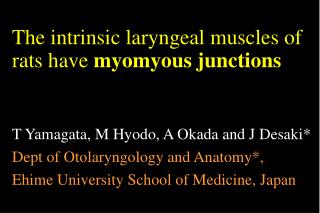 The intrinsic laryngeal muscles of rats have myomyous junctions