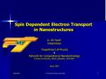 Spin Dependent Electron Transport in Nanostructures - slide 1