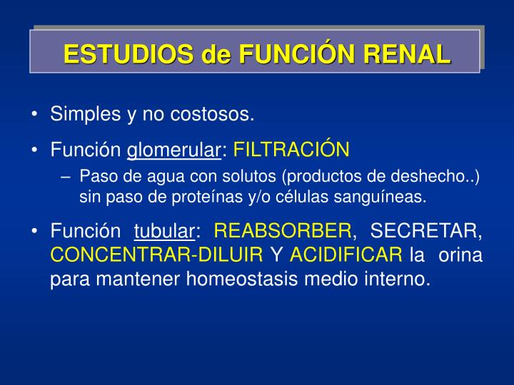 estudios de funci n renal