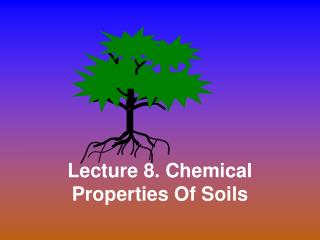 Lecture 8. Chemical Properties Of Soils
