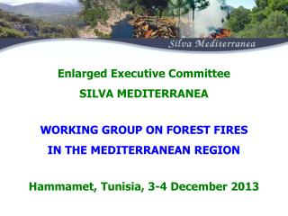 WORKING GROUP ON FOREST FIRES IN THE MEDITERRANEAN REGION