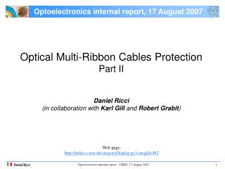 Optoelectronics internal report, 17 August 2007