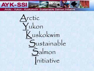 A rctic Y ukon K uskokwim S ustainable S almon I nitiative