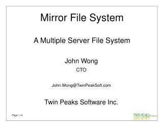Mirror File System A Multiple Server File System