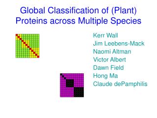 Global Classification of (Plant) Proteins across Multiple Species