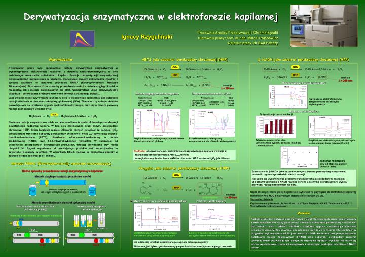 derywatyzacja enzymatyczna w elektroforezie kapilarnej