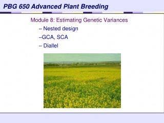 Module 8: Estimating Genetic Variances Nested design GCA, SCA Diallel