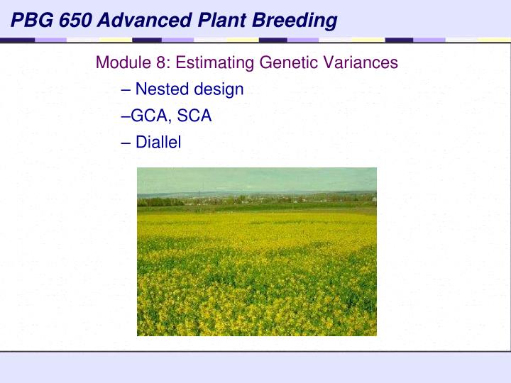 module 8 estimating genetic variances nested design gca sca diallel