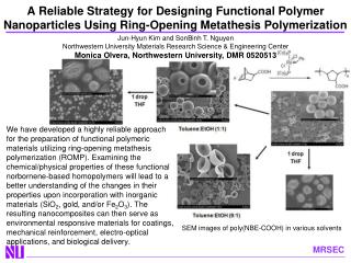 SEM images of poly(NBE-COOH) in various solvents