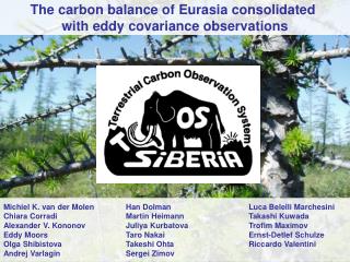 The carbon balance of Eurasia consolidated with eddy covariance observations