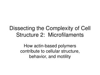 Dissecting the Complexity of Cell Structure 2: Microfilaments